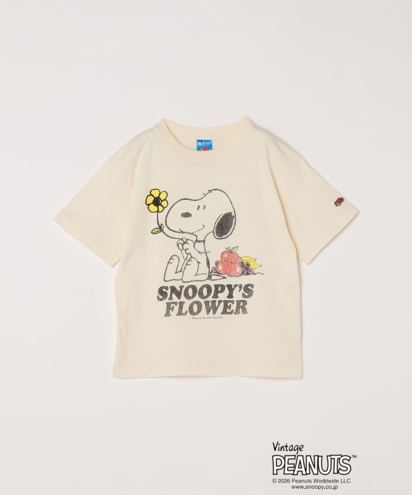 FRUIT OF THE LOOM: PEANUTS �v�����g T�V���c<KIDS>