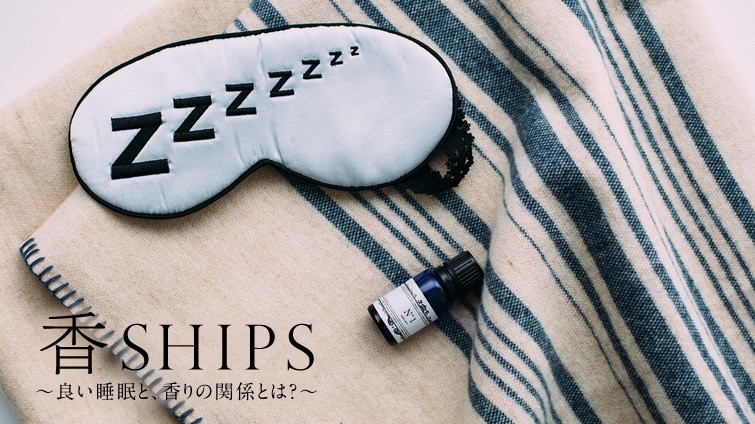 ��SHIPS �`�ǂ������ƁA����̊֌W�Ƃ́H�`