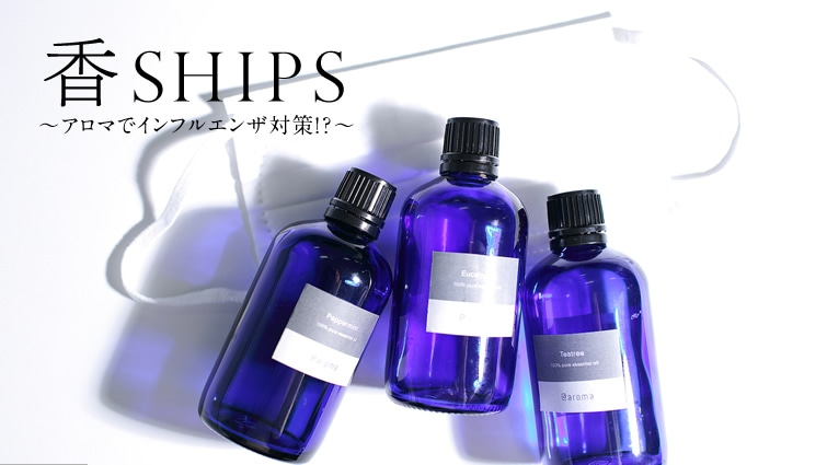 ��SHIPS �`�A���}�ŃC���t���G���U�΍�!?�`