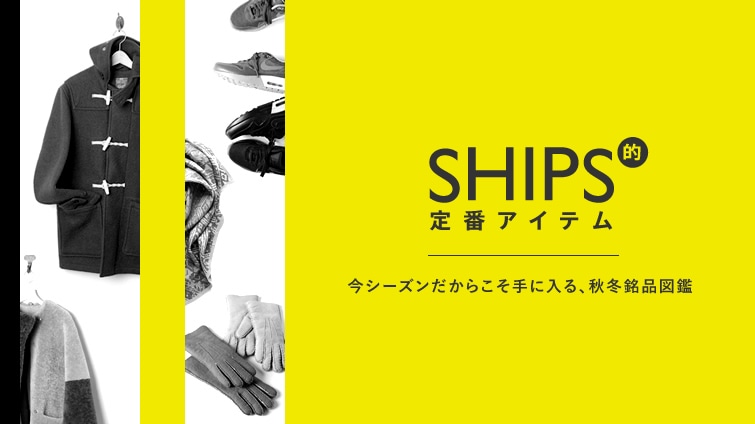 SHIPS�I��ԃA�C�e��  �|���V�[�Y�������炱����ɓ���A�H�~���i�}�Ӂ[
