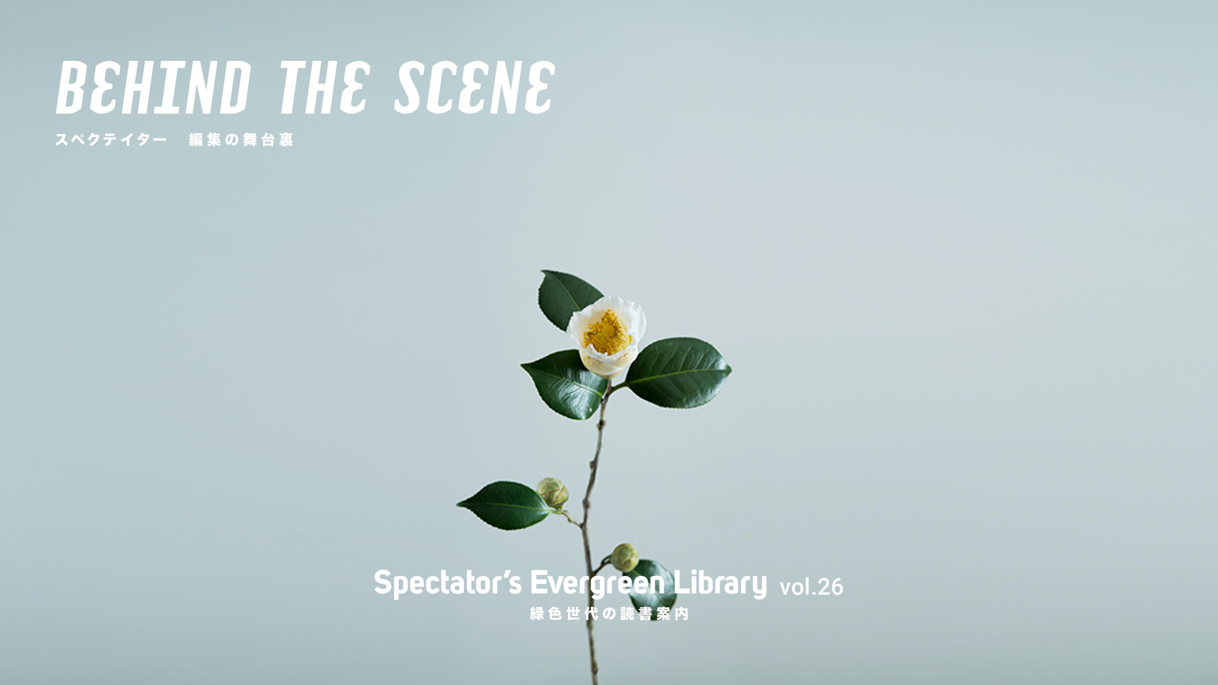 Spectator�fs Evergreen Library vol.26 BEHIND THE SCENE �X�y�N�e�C�^�[ �ҏW�̕��䗠 Spectator 43���u��сE���сv���W���߂���Θb