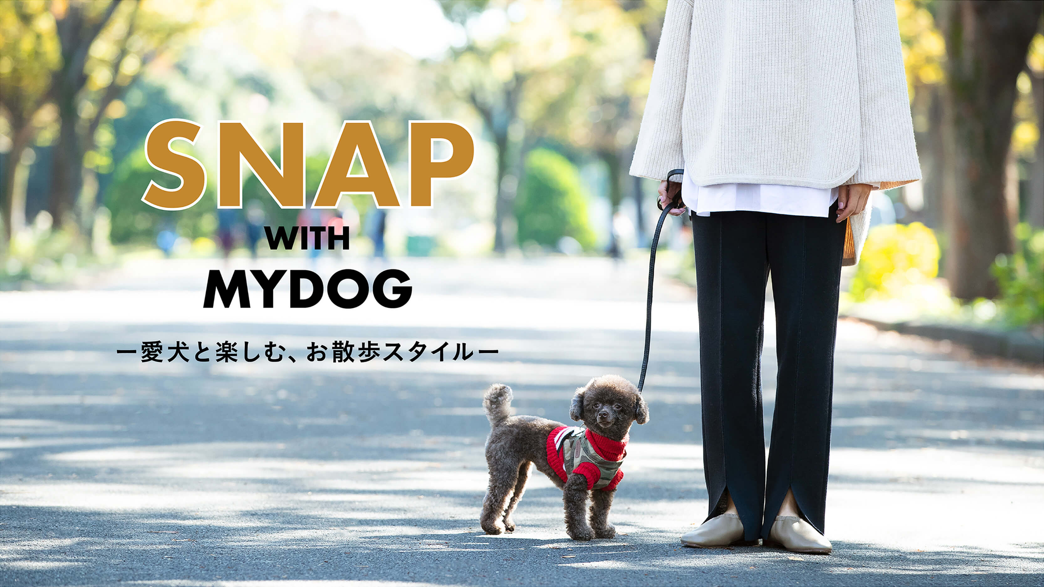 SNAP WITH MYDOG �[�����Ɗy���ށA���U���X�^�C���[