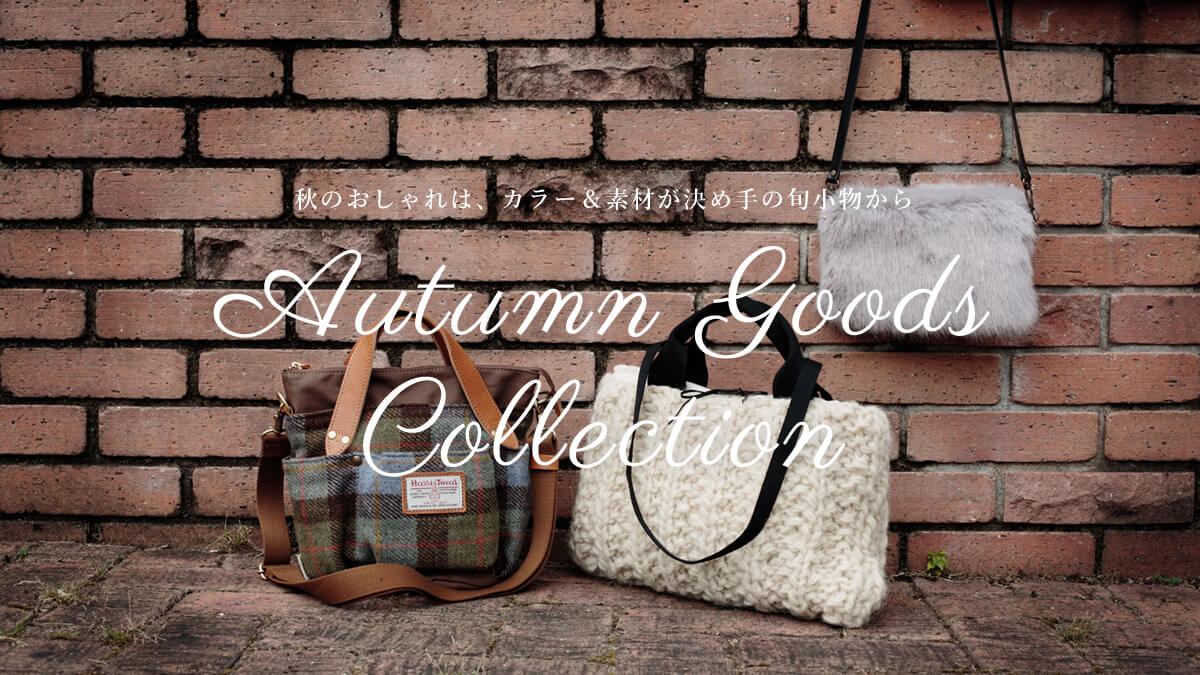 �H�̂������́A�J���[���f�ނ����ߎ�̏{��������  Autumn Goods Collection