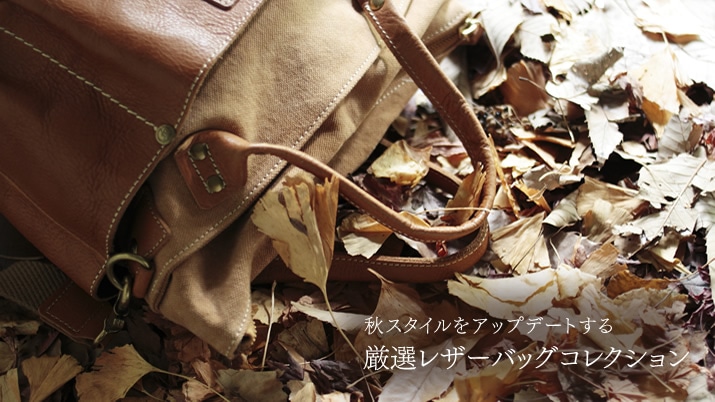 �H�X�^�C�����A�b�v�f�[�g���錵�I���U�[�o�b�O�R���N�V����
