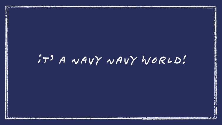 It�f a NAVY NAVY WORLD�I