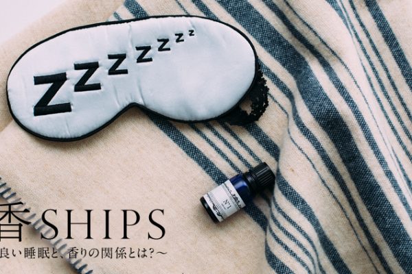 ��SHIPS �`�ǂ������ƁA����̊֌W�Ƃ́H�`