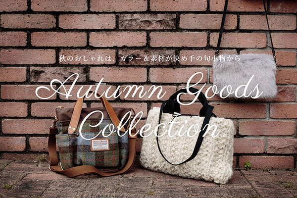 �H�̂������́A�J���[���f�ނ����ߎ�̏{��������  Autumn Goods Collection