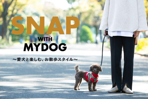 SNAP WITH MYDOG �[�����Ɗy���ށA���U���X�^�C���[