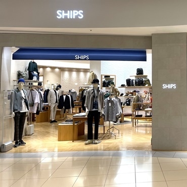 SHIPS ���ہ[�Ɖ��l�X