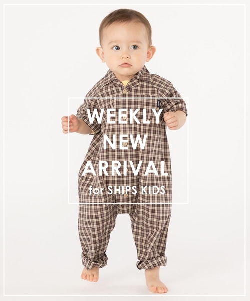 ���T�̔��X�^�[�g����NEW�A�C�e����������